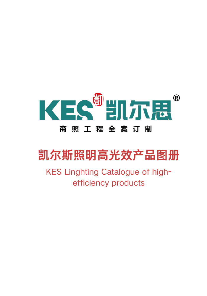 KES-高光效产品图片